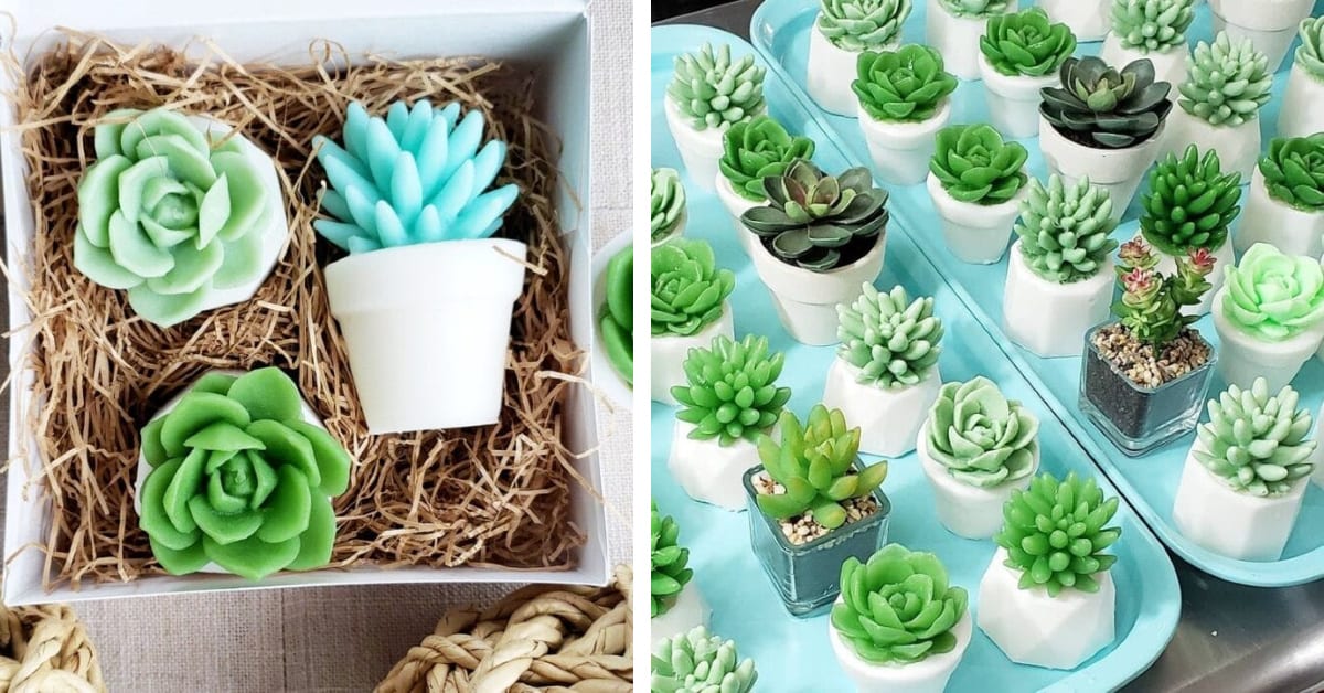 These Succulent Soaps Are Almost Too Cute To Use and I Need Them