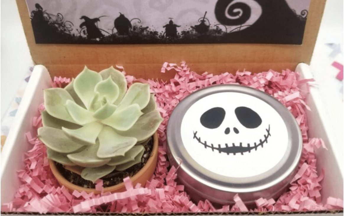This Nightmare Before Christmas Succulent Gift Box Is Perfect For The Person Who Loves Halloween