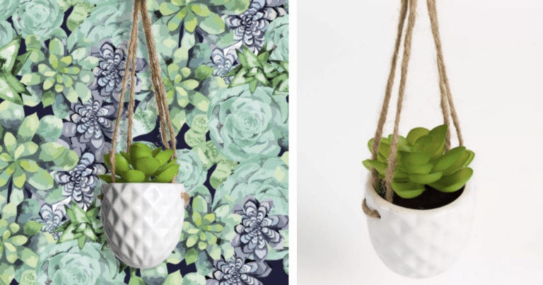 Target Is Selling A Tiny Magnetic Hanging Succulent For Just $6 And I Want One