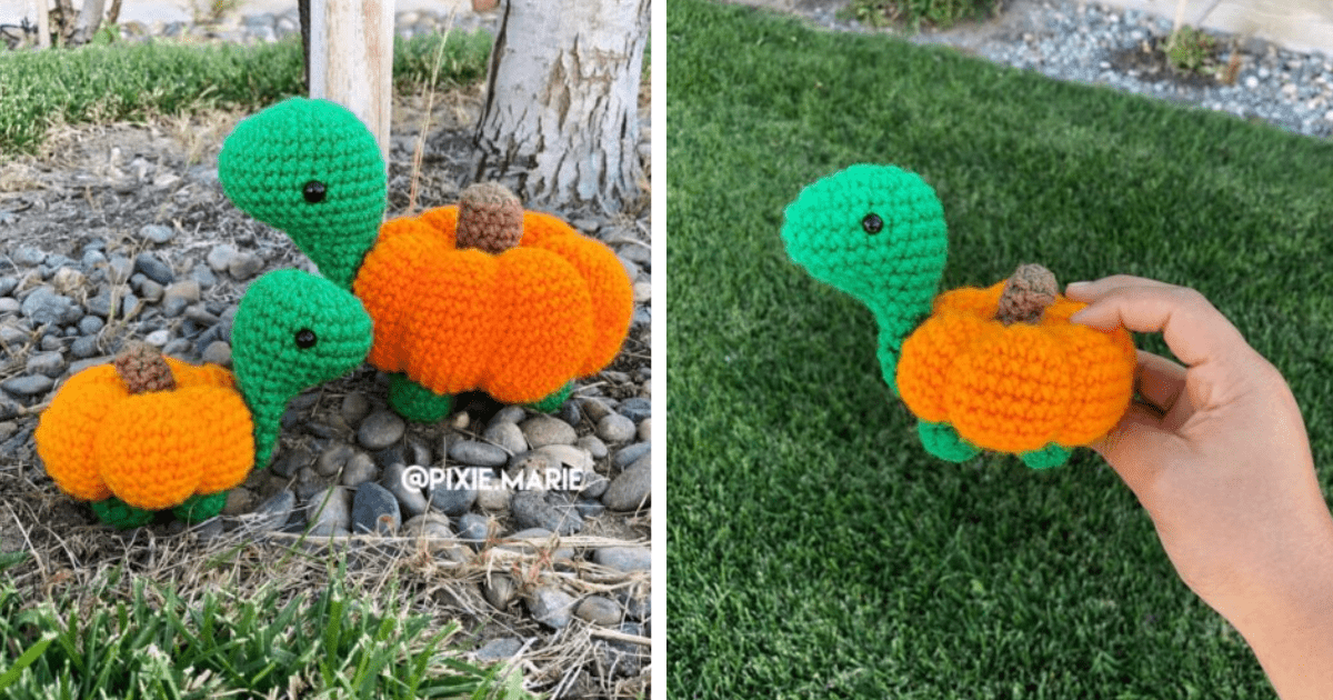 You Can Crochet A Pumpkin Turtle And Now I’m Ready For Fall