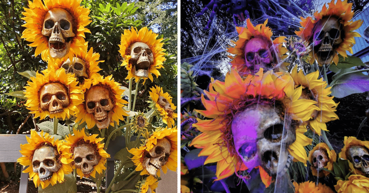 These Skull Sunflowers Are Bone-Chilling Beautiful and I Need Some For Halloween