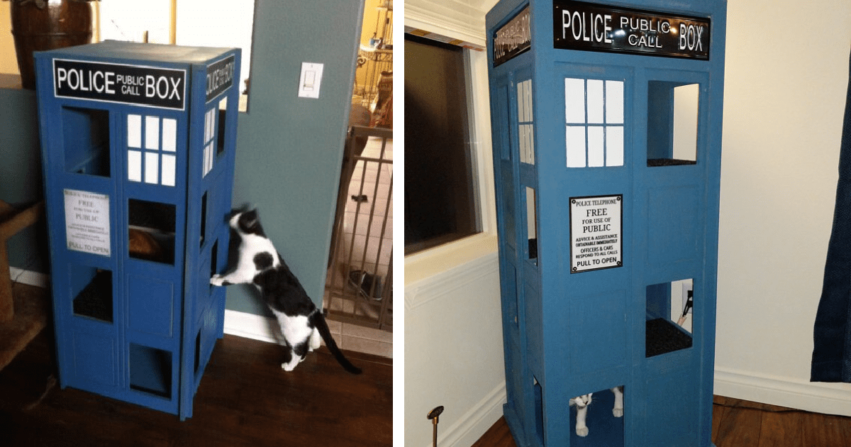 You Can Get A Cat Tower That Looks Like The Tardis From Doctor Who