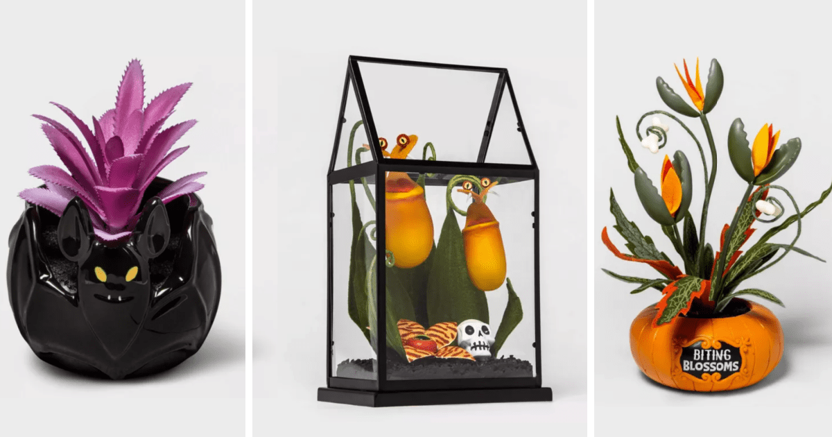 Target Released A Sneak Peak Of Their 2020 Halloween Collection