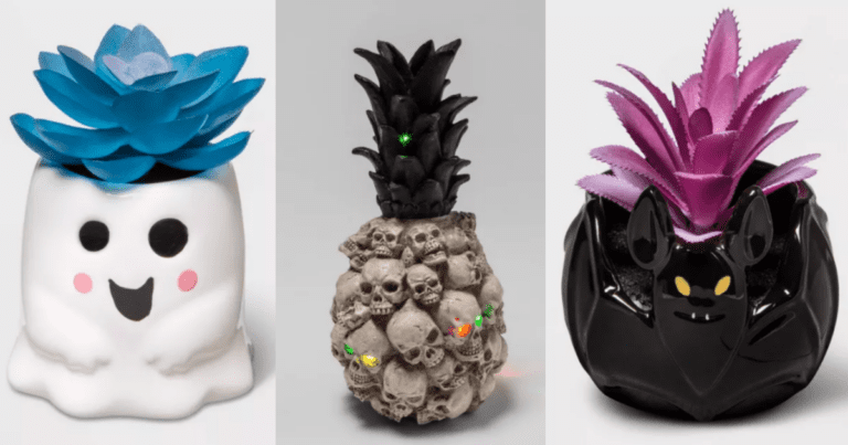 I’m Obsessed With Target’s New Halloween Succulents