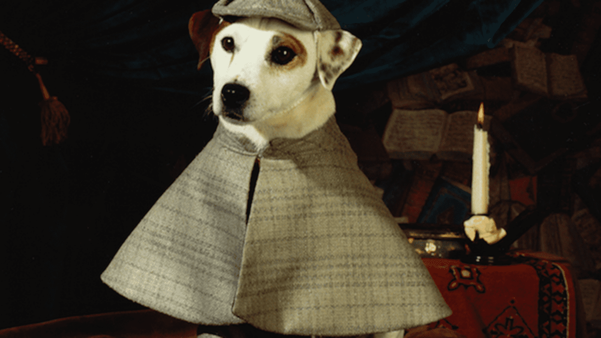 A Live-Action ‘Wishbone’ Movie Is In The Works