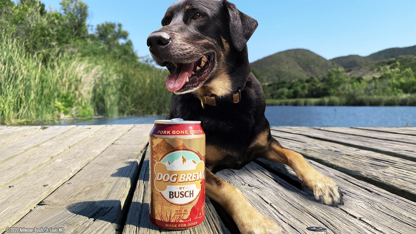 You Can Now Get ‘Beer’ For Your Dog Because, Why Not?