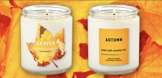 Bath & Body Works Has $6 Single Wick Candles Today Only