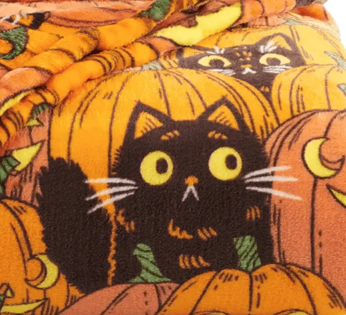 Halloween blanket 2024 kohls