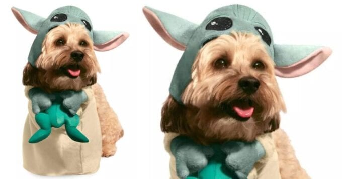 Disney Has A Baby Yoda Halloween Costume For Your Dog and You Know You Need It