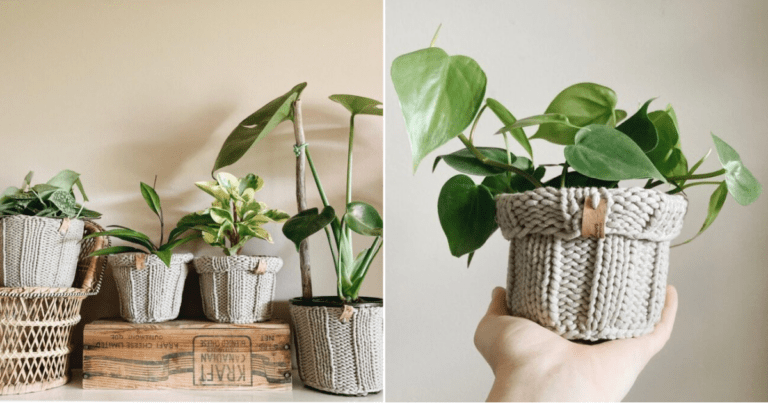 These Knitted Plant Pot Covers Give Your Plants A Boho Look and I Need Them
