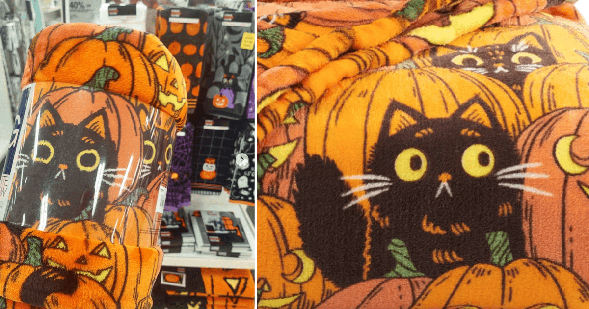 Kohl’s Is Selling A Black Cat And Pumpkin Plush Throw And It’s Perfect For The Person Who Loves Fall