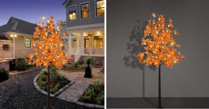 You Can Get A Lighted Maple Tree For The Person Who Loves Fall