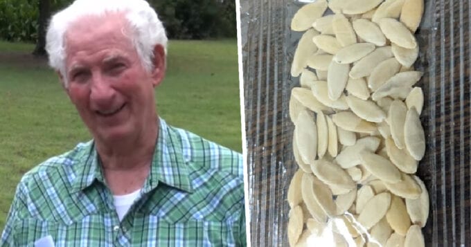This Man Planted The Mysterious Seeds He Received In The Mail And A Mysterious White Fruit Started To Grow