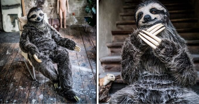 This Realistic Sloth Costume Is Terrifying Cool