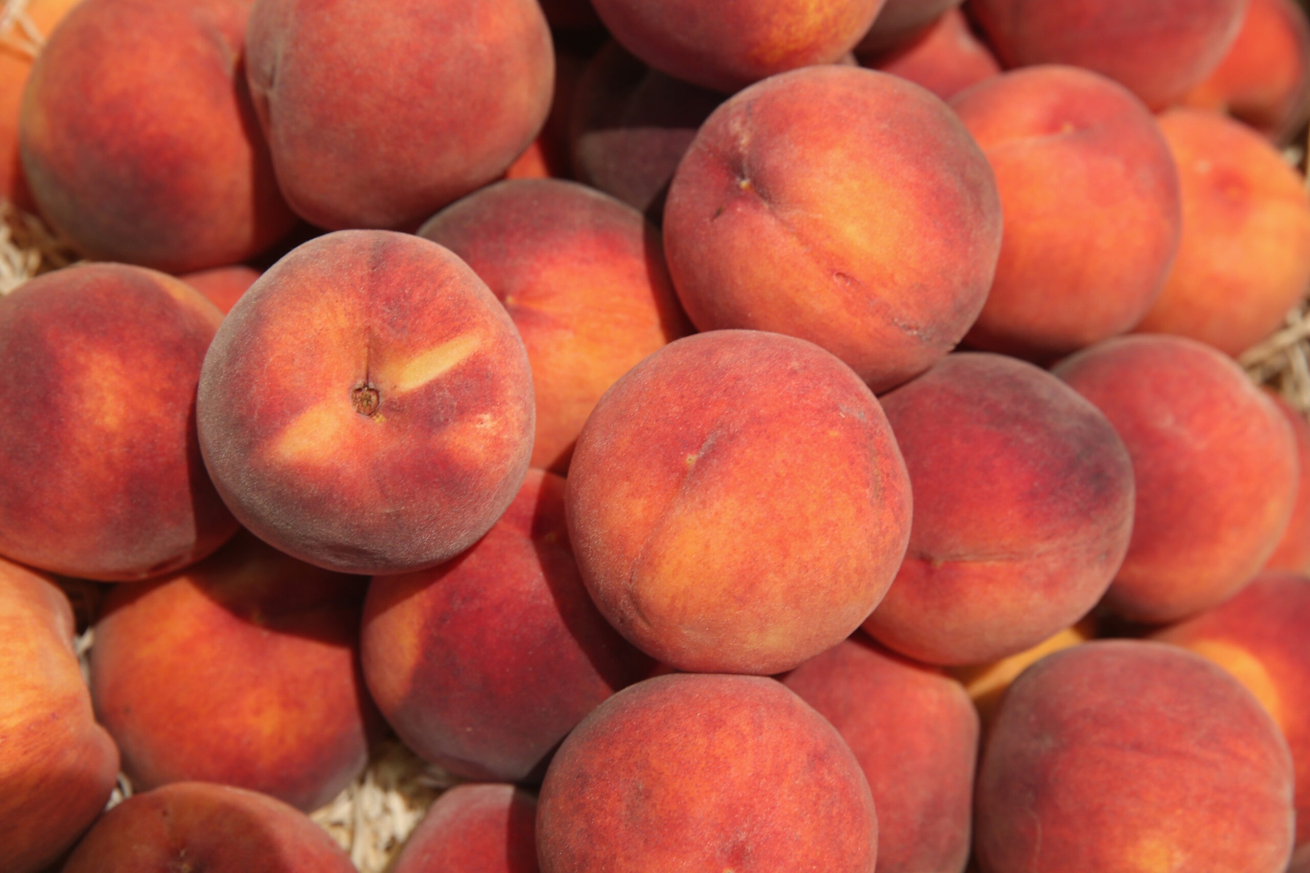 The FDA Says Some Peaches May Be Linked To A Salmonella Outbreak. Here’s What We Know.
