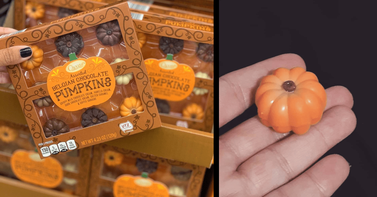 Aldi Is Selling Belgian Chocolate Pumpkins That’ll Help You Make The Perfect Halloween Dessert Board
