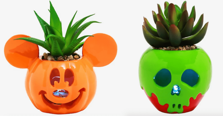 You Can Get Disney Halloween Succulents That Light Up And I Want Them All
