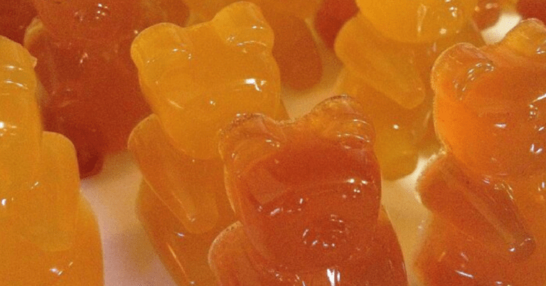 These Pumpkin Spice Gummy Bears Are The Perfect Fall Treat