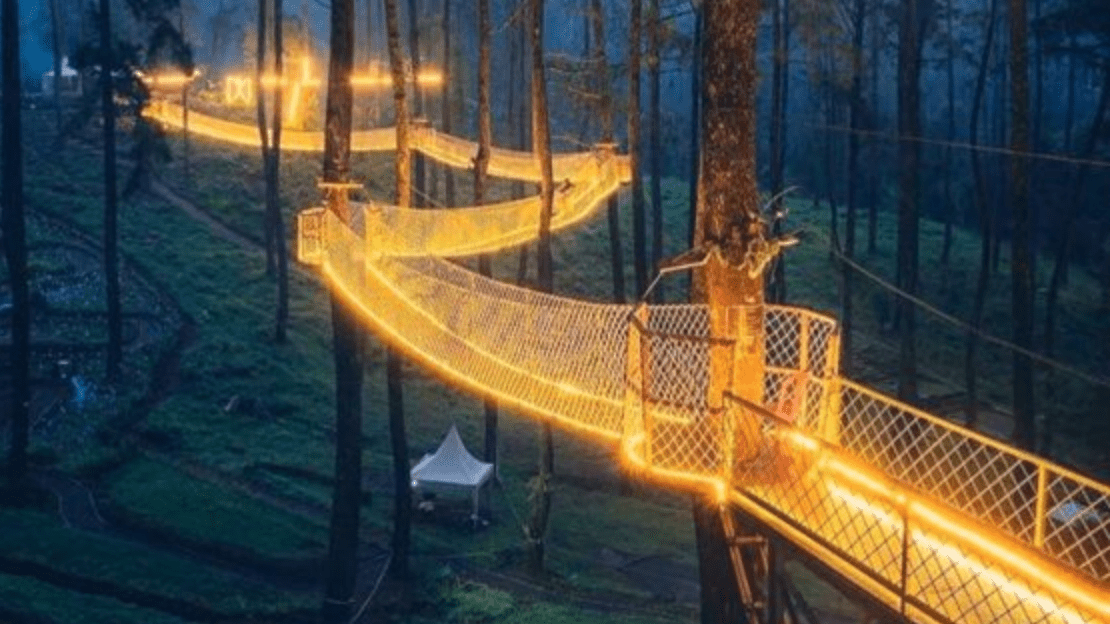 You Can Visit A Treetop Skywalk In Tennessee That Has The Longest Tree-Based Bridges In America