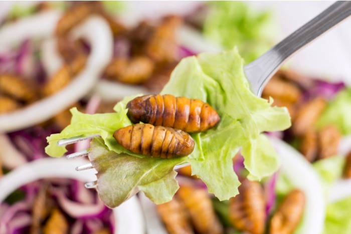 Turns Out, You May Be Eating Bugs Without Even Knowing It