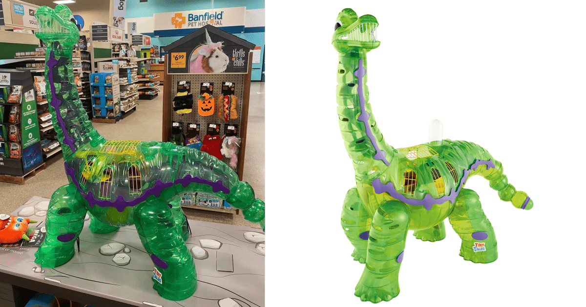 You Can Get A Giant Dinosaur For Your Hamster To Play In