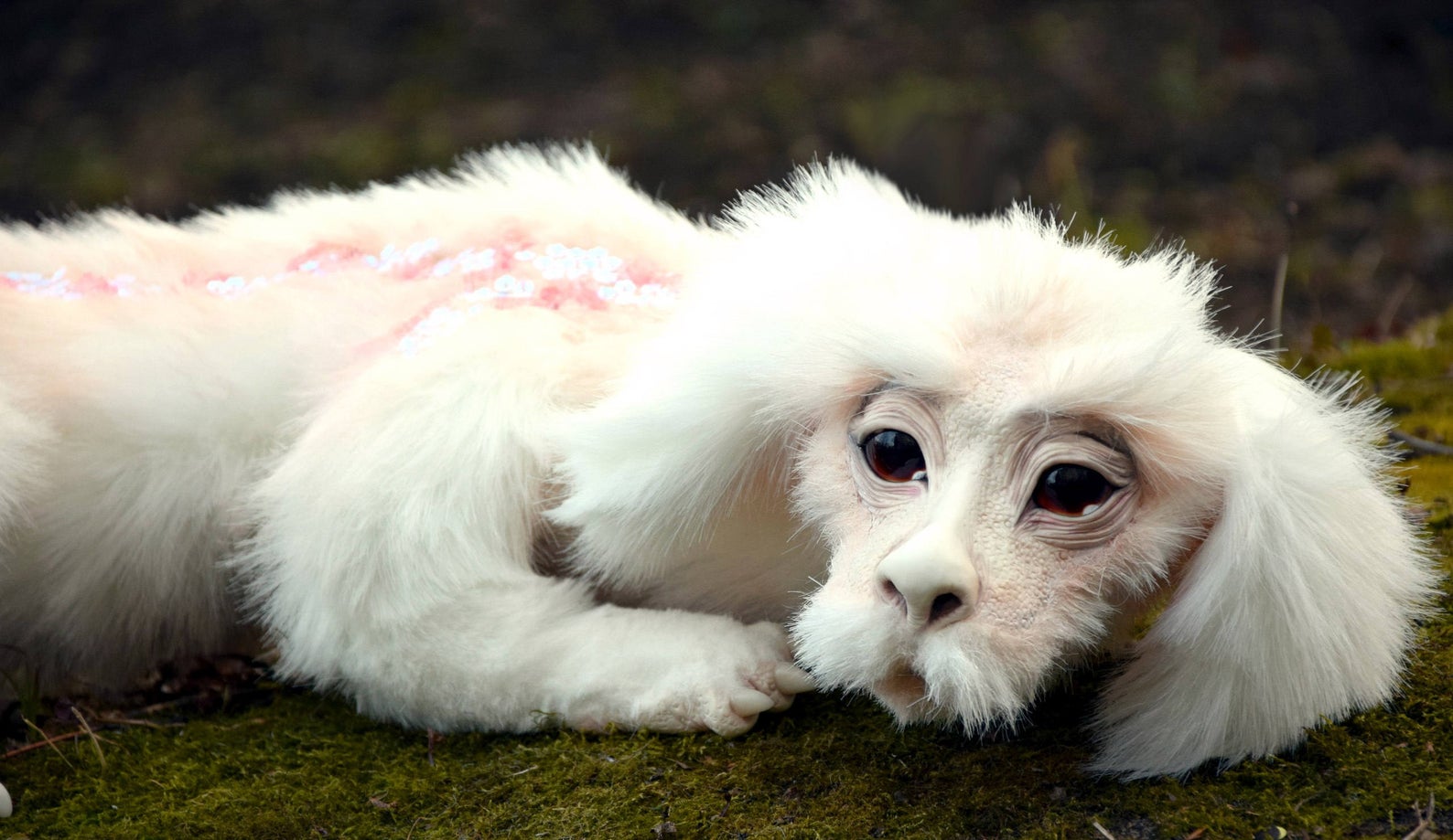 You Can Get A Falkor The Luck Dragon From ‘The Neverending Story’ That Looks Incredibly Realistic