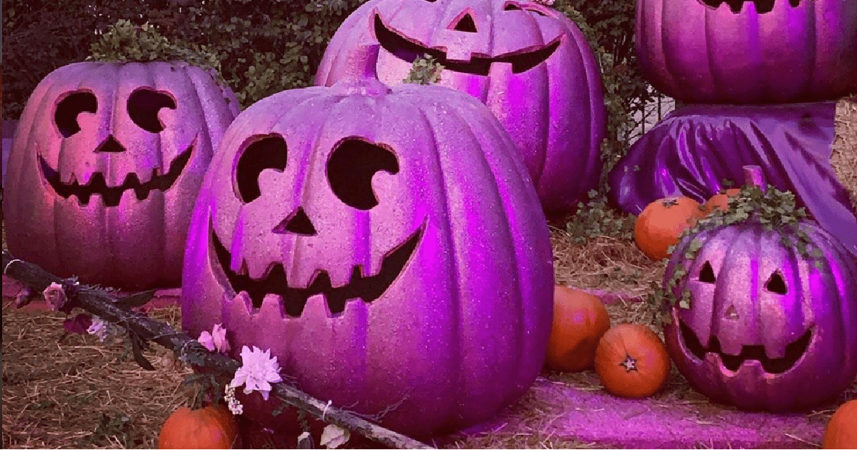 Here’s Why Parents Are Putting Purple Pumpkins On Their Doorsteps This Year