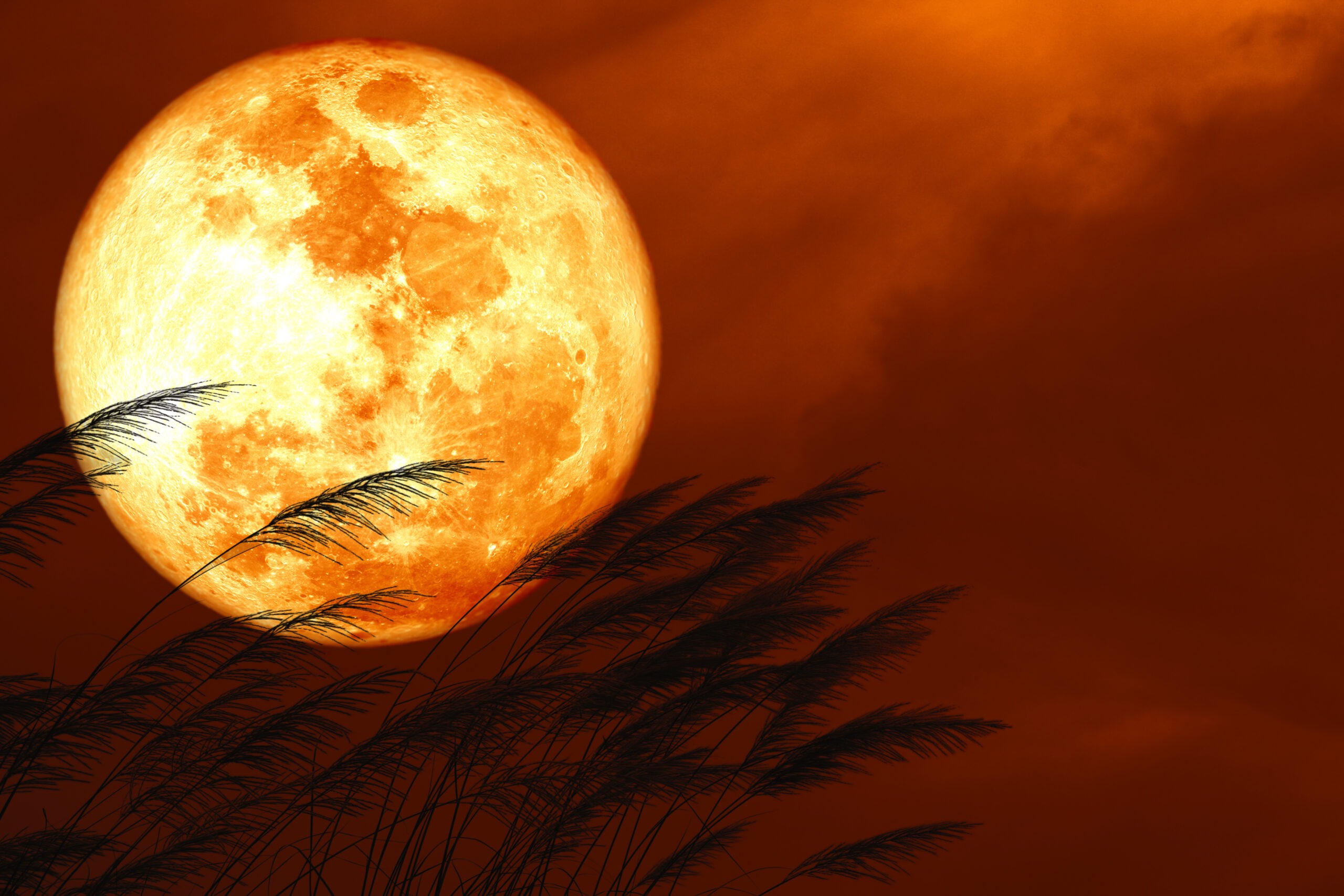 You'll Be Able To See A Full Corn Moon Tonight. Here's How.