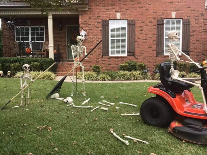 This Guy Decorates His Yard With A New Skeleton Scene Every Day and It ...
