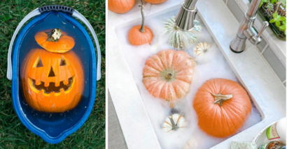 Pumpkins soaking in bleach bath