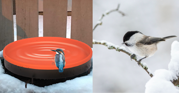 You Can Get A Heated Birdbath So That Your Feathered Friends Can Bathe All Year Long