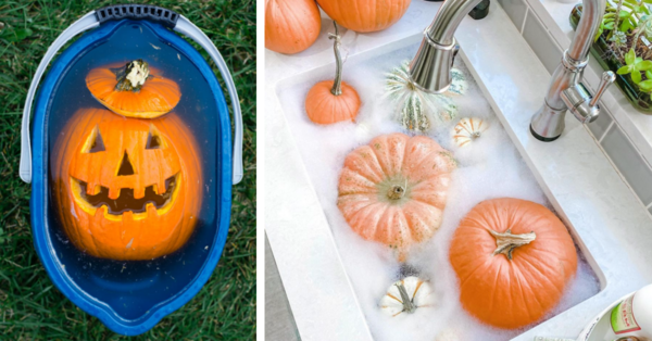 You Can Soak Your Pumpkins In A Bleach Bath To Make Them Last Longer. Here’s How To Safely Do It.
