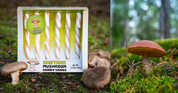 You Can Get Shiitake Mushroom Candy Canes And I Honestly Don’t Know Why