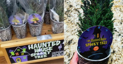 Trader Joe’s Is Selling $8 Haunted House Halloween Trees That Come Covered In Orange Glitter and Lights