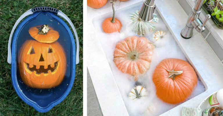 You Can Soak Your Pumpkins In A Vinegar Bath To Help Them Last Longer. Here’s How.
