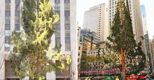 The Rockefeller Christmas Tree This Year Is So Very 2020 and People Aren’t Having It