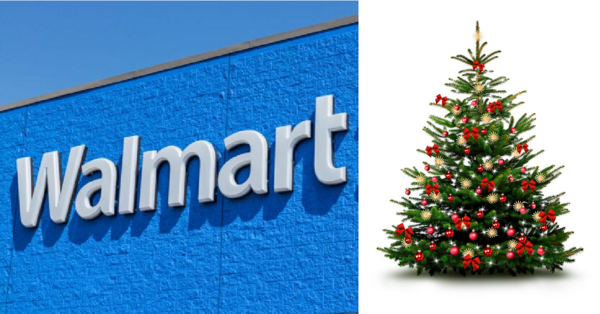Walmart Will Put Up Your Christmas Lights And Deliver A Live Christmas Tree Right To Your Front Door