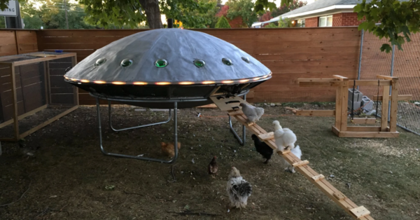 This Couple Built A Spaceship Chicken Coop That Is Out Of This World!
