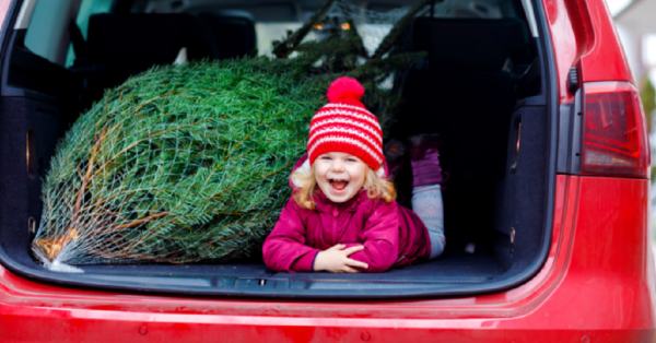 This Tree Farm Is Giving Away Christmas Trees For Families In Need
