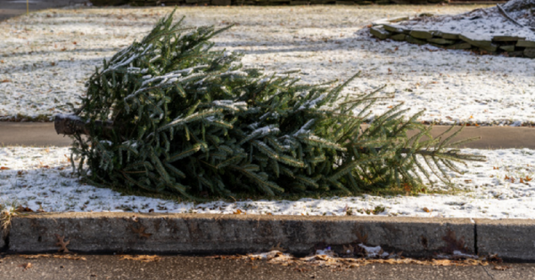 When Should You Take Your Christmas Tree Down? Here Are The Most Popular Dates To Do So.