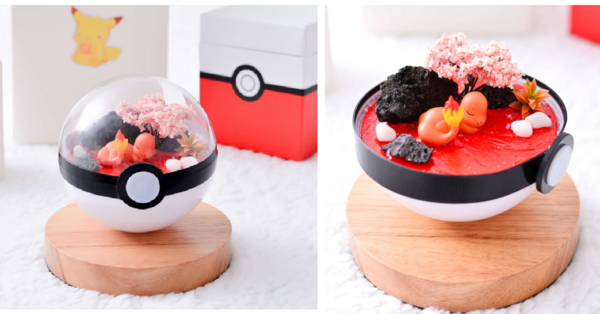 You Can Get A Pokémon Ball Terrarium That Is Absolutely Gorgeous
