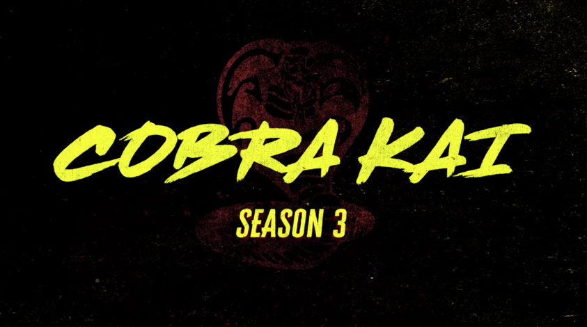Netflix Just Dropped The Cobra Kai Season 3 Full Trailer