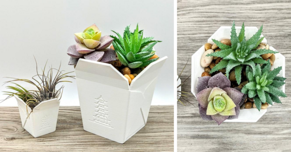 You Can Get A Chinese Takeout Succulent Planter That Is Totally Adorable