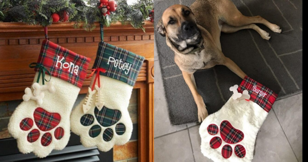 These Stockings Are Made Just For Your Dog Or Cat So Santa Can Fill Their Stockings Too