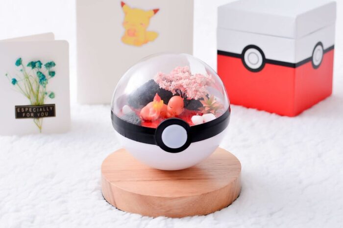 I make these Pokeball Terrariums and with Christmas upcoming though I would  share some of my creations! I am on ! : r/Gifts
