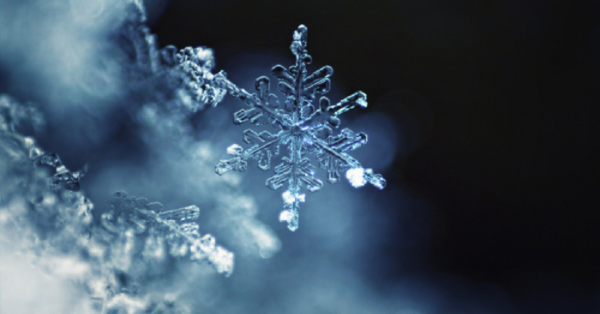 Did You Know That No Two Snowflakes Are The Same? Here’s Why!