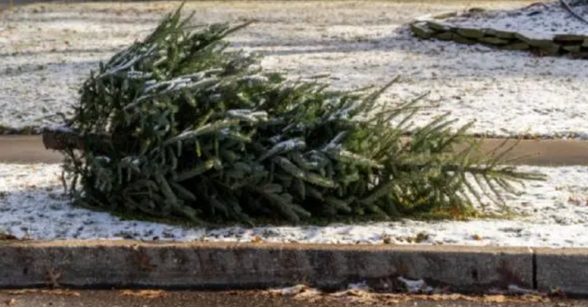 Did You Know That It’s Actually Tradition To Leave Your Christmas Tree Up Until January 6? Here’s Why.