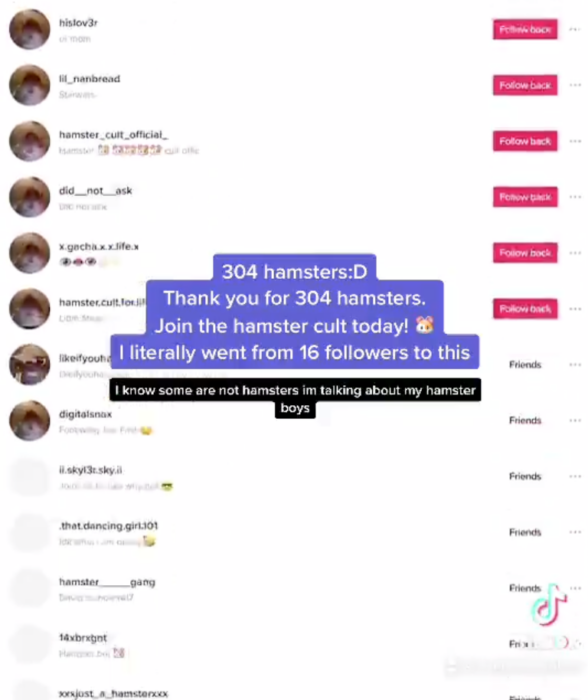 Featured image of post Hamster Cult Meme Pic : What is tiktok&#039;s hamster cult and what does it have to do with lana del rey?