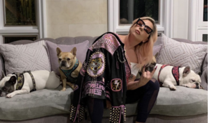 Lady Gaga’s Dogs Have Been Stolen After Her Dog Walker Was Shot