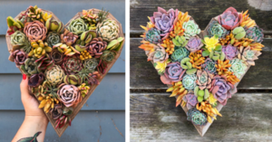 Succulent Heart Planters Are The Perfect Way To Express Your Love To That Special Someone